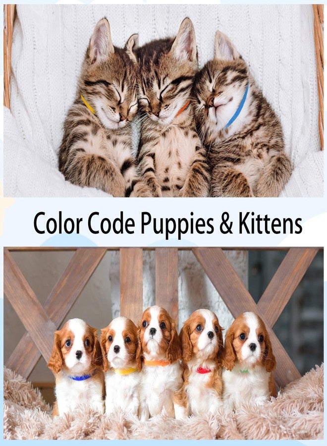 Binxus 120 Pcs Puppy Collars for Litter, Adjustable Soft Newborn Puppy Collars Tiny Kitten Collar, Elastic Whelping Collar for Puppies, Identification Loops for Small Pet Kittens Puppies (Colorful) - Image 4